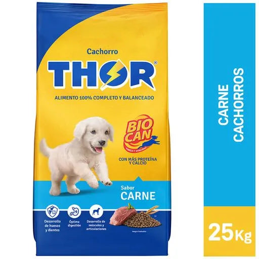 Thor Cachorro